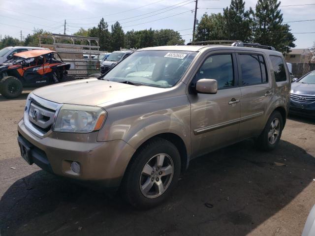 HONDA PILOT EXL 2009 with VIN 5FNYF485X9B035488 - Photo from auction