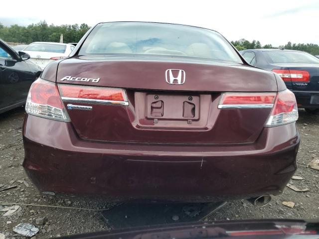 Photo 6 from auction – 2011 HONDA ACCORD LXP with VIN 1HGCP2F44BA035234