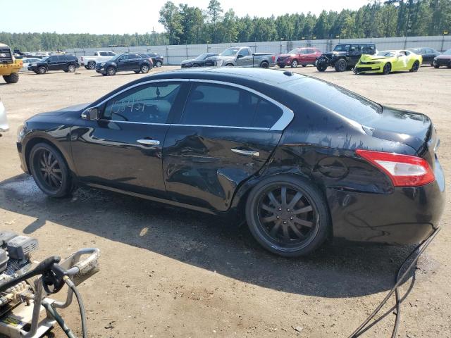 Photo 2 from auction – 2010 NISSAN MAXIMA S with VIN 1N4AA5AP5AC848701