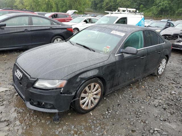 AUDI A4 PREMIUM 2011 with VIN WAUFFAFL4BN042867 - Photo from auction