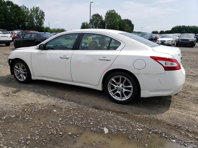 Photo 2 from auction – 2009 NISSAN MAXIMA S with VIN 1N4AA51E19C832568