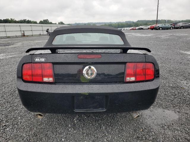 Photo 6 from auction – 2005 FORD MUSTANG with VIN 1ZVFT84N255203744