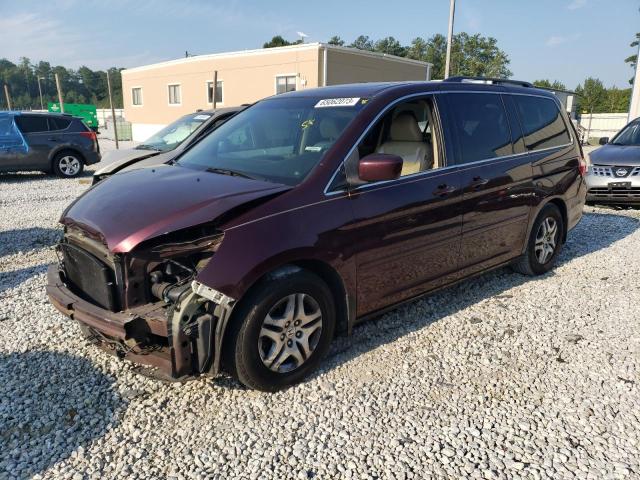 HONDA ODYSSEY EX 2007 with VIN 5FNRL38777B426023 - Photo from auction