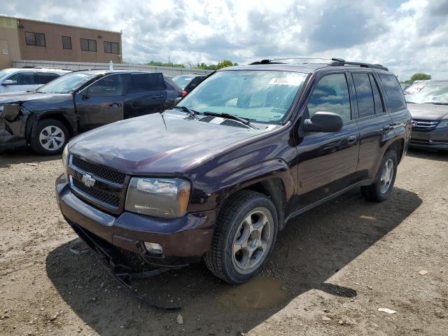 CHEVROLET TRAILBLAZE 2008 with VIN 1GNDT13S882146911 - Photo from auction