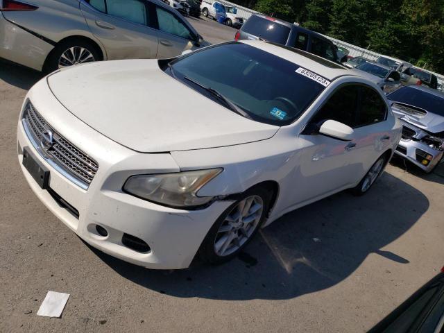 NISSAN MAXIMA S 2011 with VIN 1N4AA5AP7BC808315 - Photo from auction