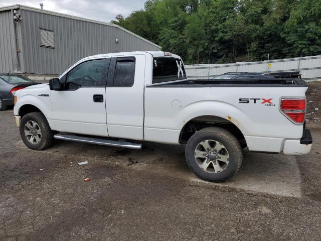 Zdjęcie 2 z aukcji – 2013 FORD F150 SUPER z VIN 1FTFX1EF5DFA03164
