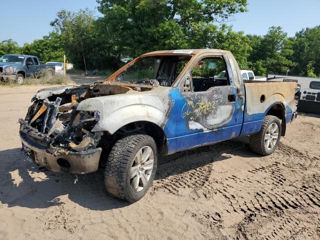 FORD F150 2010 with VIN 1FTMF1EVXAKA89446 - Photo from auction
