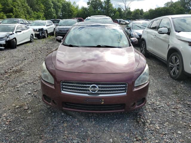 Photo 5 from auction – 2010 NISSAN MAXIMA S with VIN 1N4AA5AP7AC875060