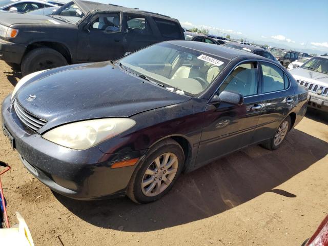 LEXUS ES 330 2004 with VIN JTHBA30G545052624 - Photo from auction
