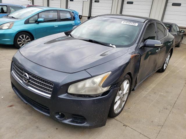 NISSAN MAXIMA S 2009 with VIN 1N4AA51E19C827077 - Photo from auction