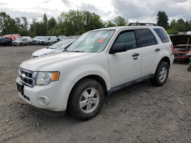 FORD ESCAPE XLT 2011 with VIN 1FMCU9D75BKB75361 - Photo from auction