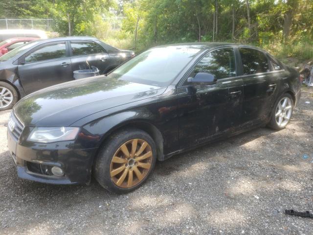 AUDI A4 PREMIUM 2012 with VIN WAUBFCFLXCN005303 - Photo from auction