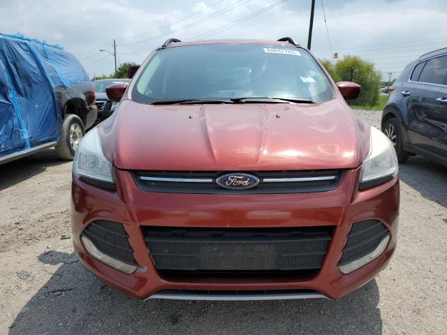 Photo 5 from auction – 2014 FORD ESCAPE SE with VIN 1FMCU0GX4EUC18006