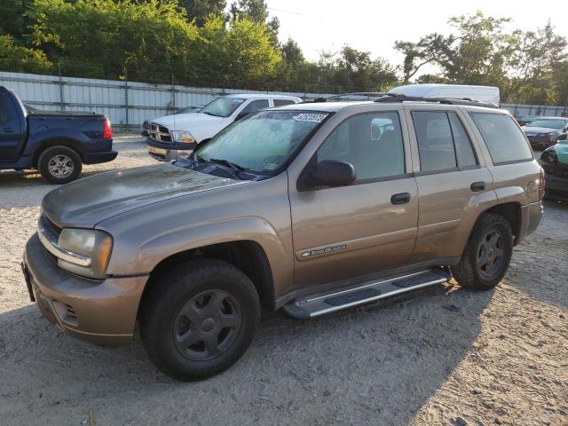 CHEVROLET TRAILBLAZE 2002 with VIN 1GNDT13S222497174 - Photo from auction