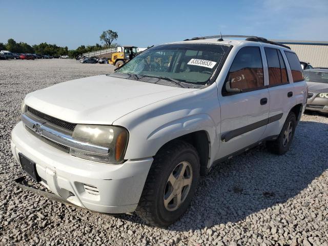 CHEVROLET TRAILBLAZE 2005 with VIN 1GNDT13S752377486 - Photo from auction