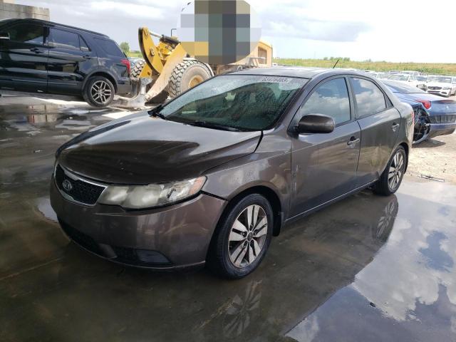 KIA FORTE EX 2013 with VIN KNAFU4A29D5737130 - Photo from auction