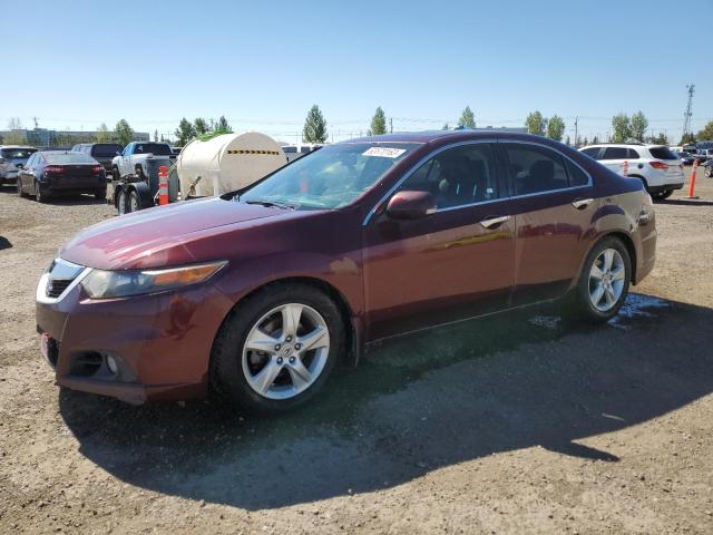 ACURA TSX 2009 with VIN JH4CU26669C800191 - Photo from auction