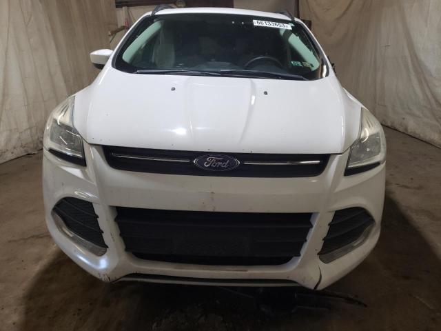 Photo 5 from auction – 2014 FORD ESCAPE SE with VIN 1FMCU9G9XEUD26264