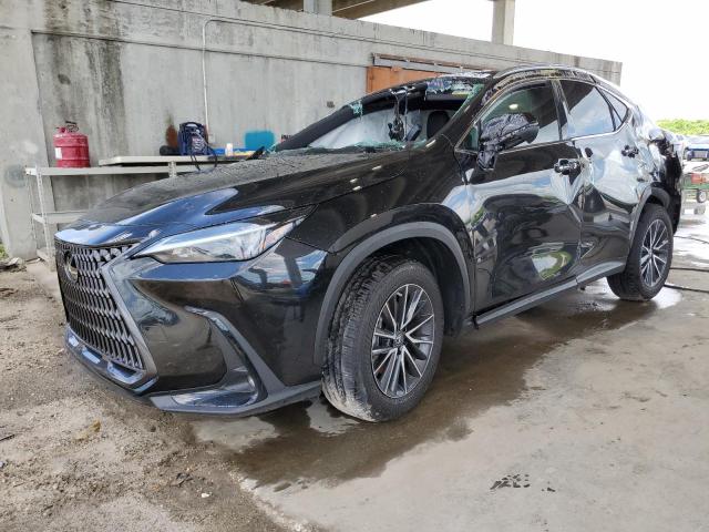 LEXUS NX 250 2023 with VIN 2T2ADCAZ6PC005299 - Photo from auction