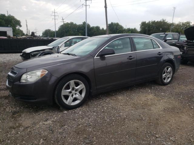 CHEVROLET MALIBU LS 2011 with VIN 1G1ZB5E10BF206671 - Photo from auction
