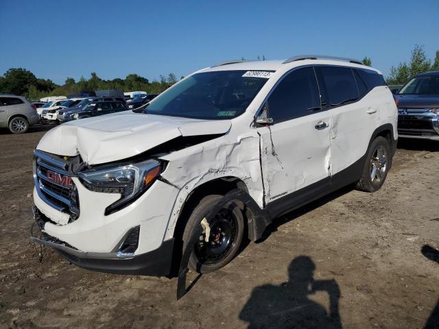 GMC TERRAIN SL 2020 with VIN 3GKALVEV4LL106024 - Photo from auction