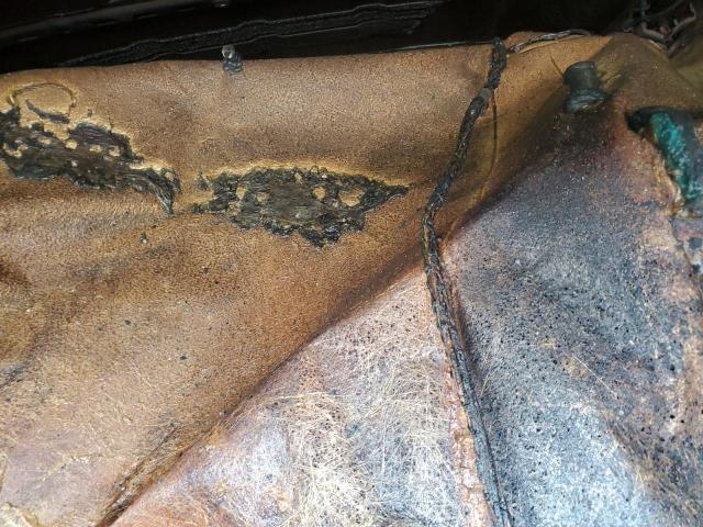 Photo 10 from auction – 2021 GMC TERRAIN SL with VIN 3GKALMEVXML342950