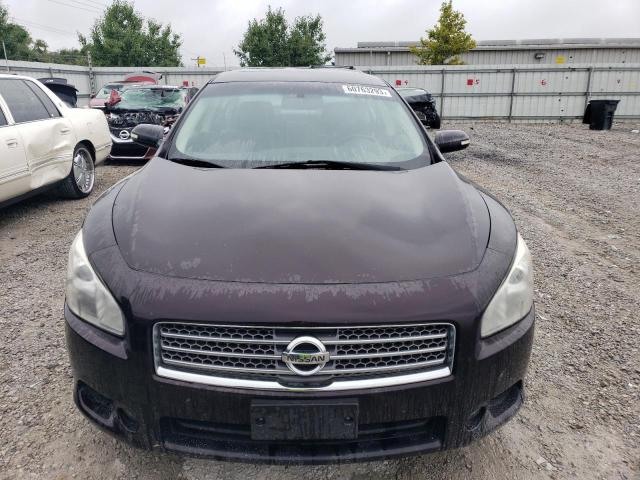 Photo 5 from auction – 2010 NISSAN MAXIMA with VIN 1N4AA5AP3AC828575