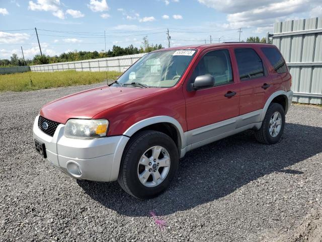FORD ESCAPE XLT 2007 with VIN 1FMYU031X7KA73558 - Photo from auction