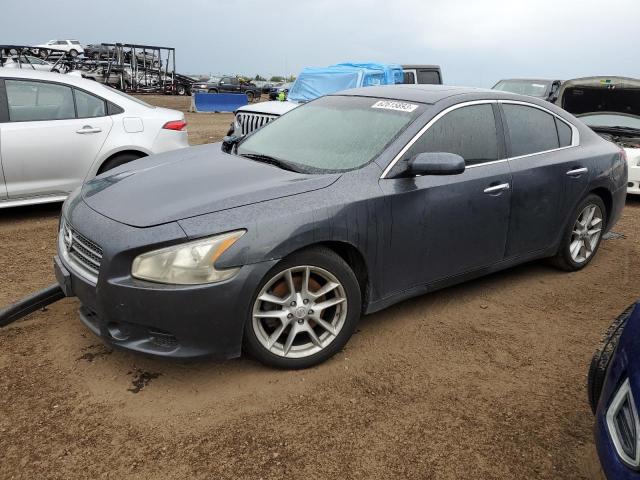 NISSAN MAXIMA S 2009 with VIN 1N4AA51E89C835130 - Photo from auction