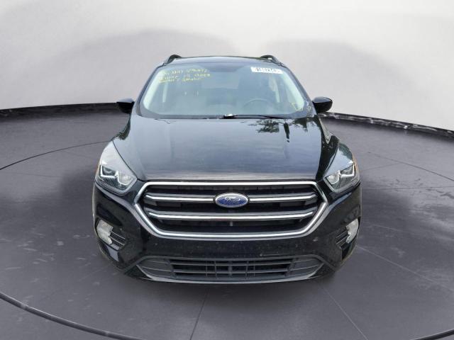 Photo 5 from auction – 2019 FORD ESCAPE SE with VIN 1FMCU0GD1KUA75257
