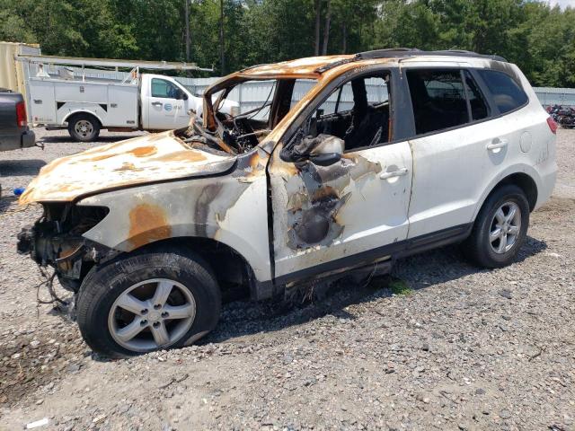 HYUNDAI SANTA FE G 2007 with VIN 5NMSG13DX7H012398 - Photo from auction