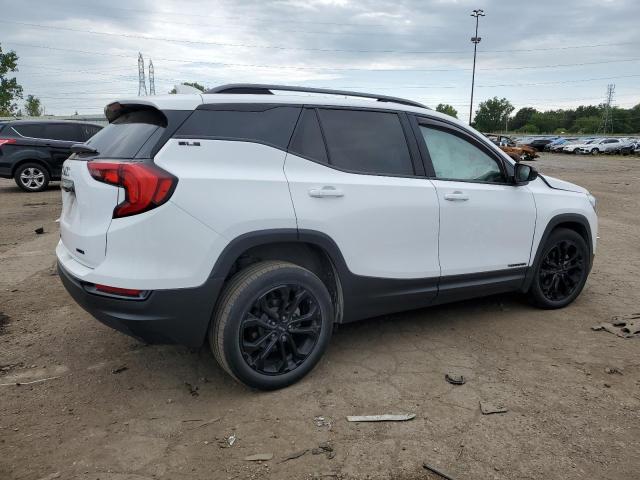 Photo 3 from auction – 2020 GMC TERRAIN SL with VIN 3GKALTEV2LL341669