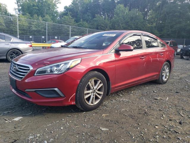 HYUNDAI SONATA SE 2016 with VIN 5NPE24AF7GH293838 - Photo from auction
