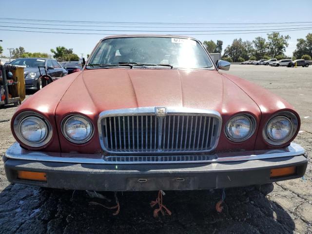 Photo 5 from auction – 1982 JAGUAR XJ6 with VIN SAJAV1342CC334996