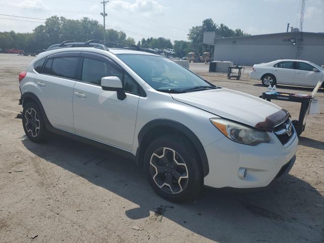 Photo 4 from auction – 2014 SUBARU XV CROSSTR with VIN JF2GPAKC1E8223066