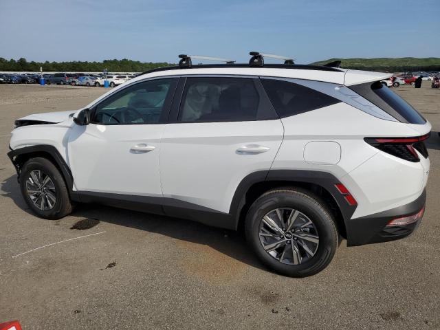 Photo 2 from auction – 2023 HYUNDAI TUCSON BLU with VIN KM8JBCA18PU119288