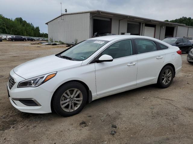 HYUNDAI SONATA SE 2016 with VIN 5NPE24AF7GH332699 - Photo from auction
