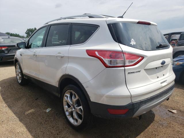 Photo 2 from auction – 2013 FORD ESCAPE TIT with VIN 1FMCU0J98DUC69968