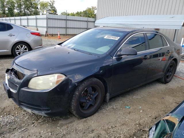 CHEVROLET MALIBU LS 2010 with VIN 1G1ZB5EB2AF260495 - Photo from auction