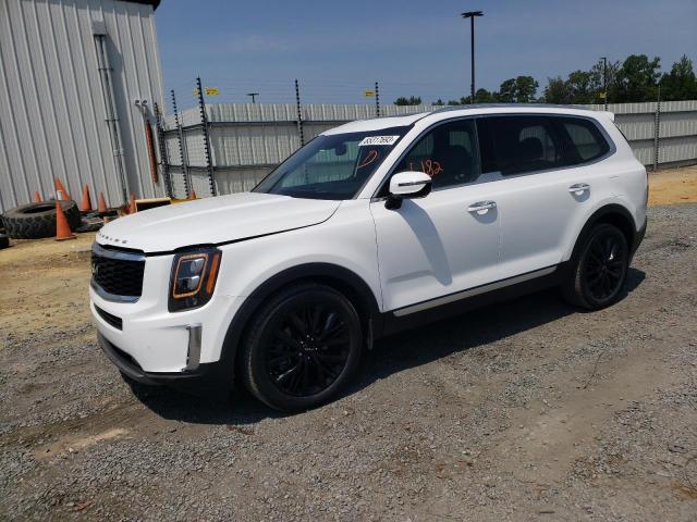 KIA TELLURIDE 2022 with VIN 5XYP5DHC8NG319816 - Photo from auction
