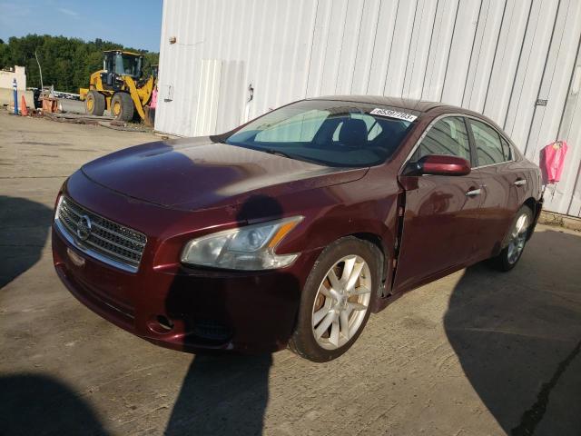 Снимка 1 от търг – 2009 NISSAN MAXIMA с VIN 1N4AA51E29C824706