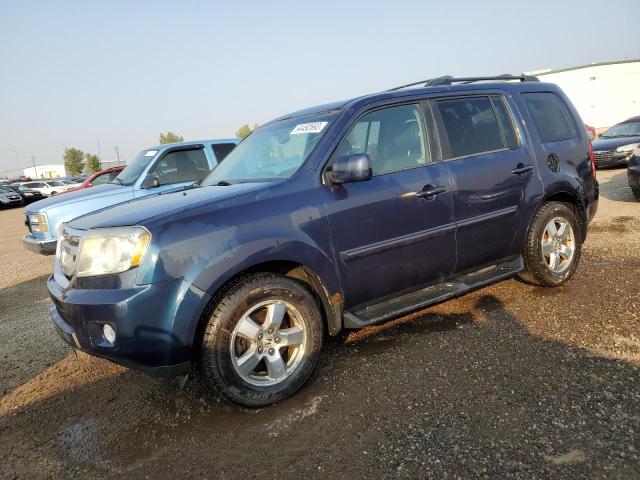 HONDA PILOT EXL 2009 with VIN 5FNYF48619B024078 - Photo from auction