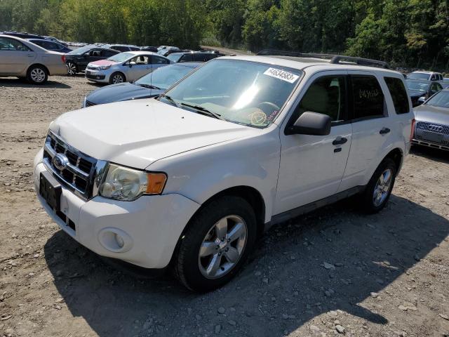 Photo 1 from auction – 2009 FORD ESCAPE XLT with VIN 1FMCU03G99KA25938