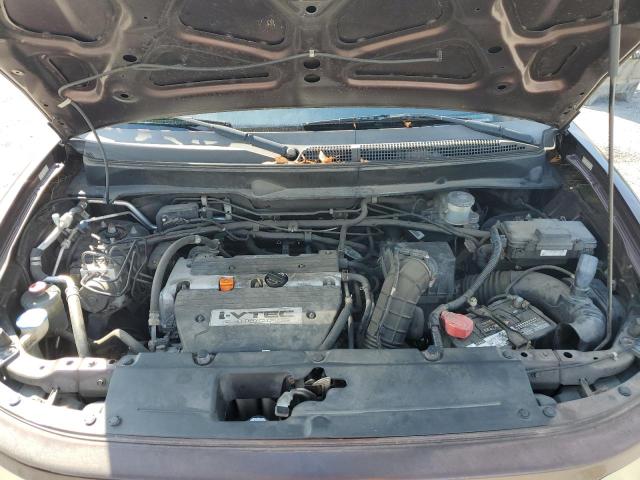 Photo 11 from auction – 2007 HONDA ELEMENT SC with VIN 5J6YH17997L007764