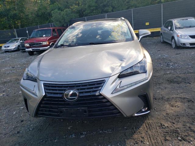 Photo 5 from auction – 2019 LEXUS NX 300 BAS with VIN JTJBARBZ2K2205216