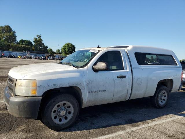 CHEVROLET SILVERADO 2008 with VIN 1GCEC14X48Z324781 - Photo from auction