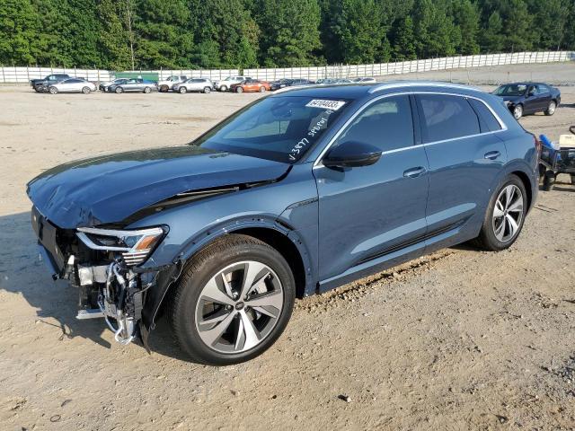 AUDI Q8 E-TRON 2024 with VIN WA15AAGE1RB013877 - Photo from auction