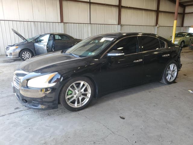 NISSAN MAXIMA S 2009 with VIN 1N4AA51E09C847272 - Photo from auction