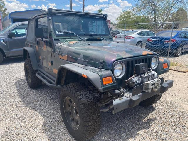 JEEP WRANGLER / 1998 with VIN 1J4FY19S1WP719670 - Photo from auction