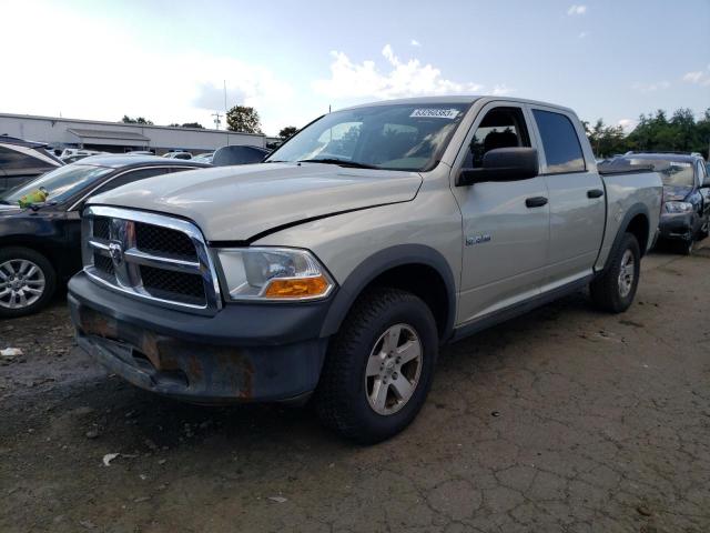 DODGE RAM PICKUP 2010 with VIN 1D7RV1CP8AS187507 - Photo from auction